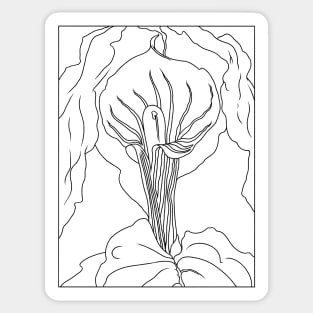 Jack in the Pulpit No. III Sticker